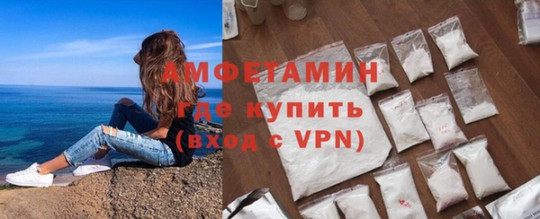 прущие грибы Балахна