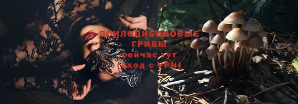 2c-b Армянск