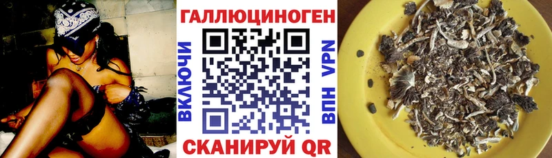 Псилоцибиновые грибы Psilocybe  Опочка 