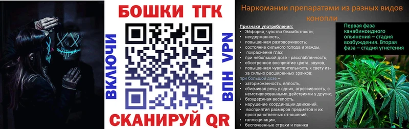 Бошки Шишки план  Опочка 